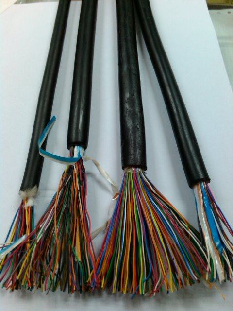 大对数电缆 室外通信电话电缆 5对10对20对25对30对50对100对200