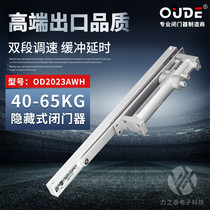 Ode OUDE Concealed Hidden Hotel Positioning Door Closer Wooden Door Home Automatic Buffer Back Closer 2023