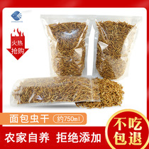 Starlings birds hamsters bugs dried bread bugs dried bags hedgehogs squirrels turtles grain bugs mealworms