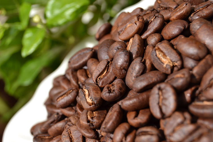 印度尼西亚 迦尤山 曼特宁g1咖啡熟豆 新鲜烘焙body醇厚227g