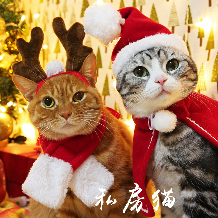 私房猫咪 原创 猫咪新年圣诞装 宠物狗狗兔子 斗篷围巾领结披风
