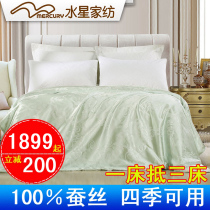 Mercury home textile sub-mother quilt two-in-one silk quilt 100% silkworm filament double winter quilt spring and autumn quilt