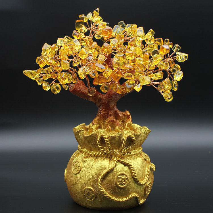 家中或者办公地方摆放摇钱树,寓意一年财源滚滚,生活事业如意.