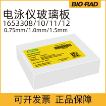 Bole Bio-Rad electrophoresis short long glass 1653308 1653310 1653311 1653312