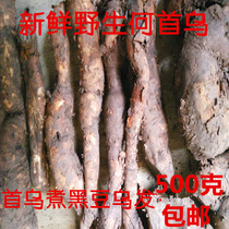 Farmers self-dig wild first multiflorum multiflorum nocturnal vines 500 grams