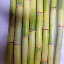Soup fresh bamboo cane green skin sugar cane green skin sweet fresh bamboo cane 700g dry goods 300g