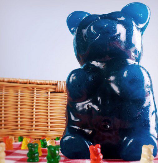 美国巨大橡皮熊软糖小熊糖2250g土豪糖果giant gumm bear木下大胃