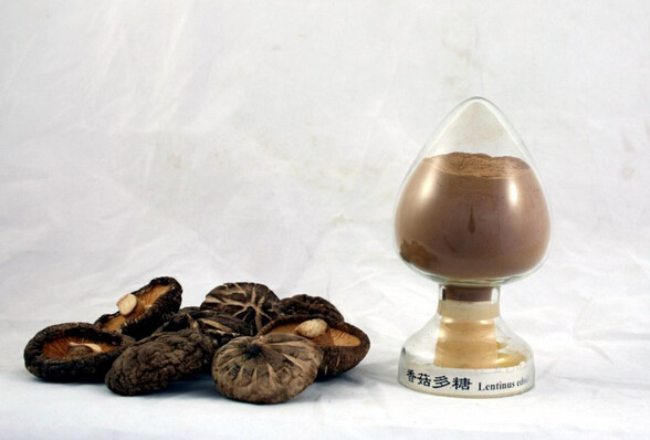 香菇多糖粉非胶囊—香菇菌丝提取物含量>30%—真菌多糖粉250克_双氙车