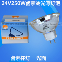 10 24v250w cold light bulb Halogen tungsten cup lamp Instrument Medical yellow light Long life glossy surface