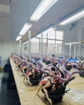 Fat Home GK Demonetisation Series Resonance 01-Demonefox Female Emperors Implosion to set up a model statue