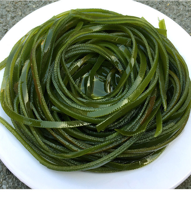 【天天特价】荣成海带盐渍海带丝2500g昆布丝出口级好丝新鲜海带
