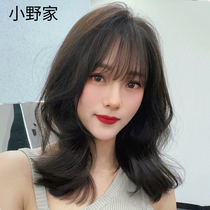 Ono family wig female short hair air bangs Xin Zhilei with the same extroversion short curly hair round face net red real hair set