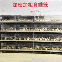 Quality plus coarse encryption Chick Cage Small Chicken Cage Rearing Chicks 4 Floors Integrated Vertical Chicken Cage Breeding Chicken Coop Small Chicken Coop