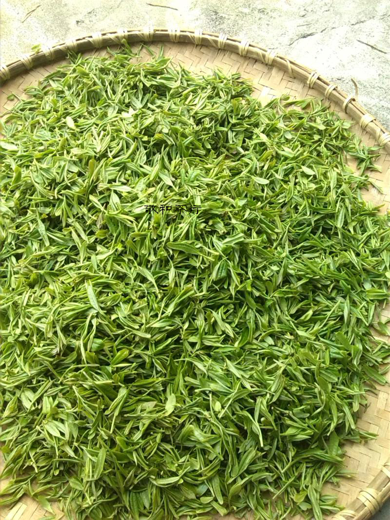 2015新茶安徽池州特产开园头采毛峰肖坑霄坑村云雾茶富硒野生绿茶