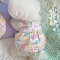 Floral special-like spring and summer flowers flowers kittens dress Puppy dress Puppy dresses Pets Summer Clothing Can Hang Traction Rope