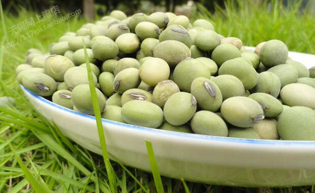 东北优质青豆 青黄豆500g(多吃杂粮 )可榨豆浆