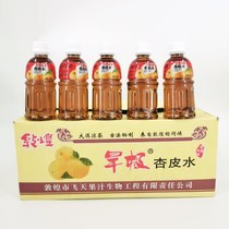 Gansu Dunhuang specialty flying juice dry pole apricot skin water Apricot skin tea drink Sweet and sour travel office hand gift