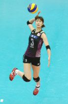 Volleyball suit suit suit Japanese womens volleyball national team jersey (large discount)
