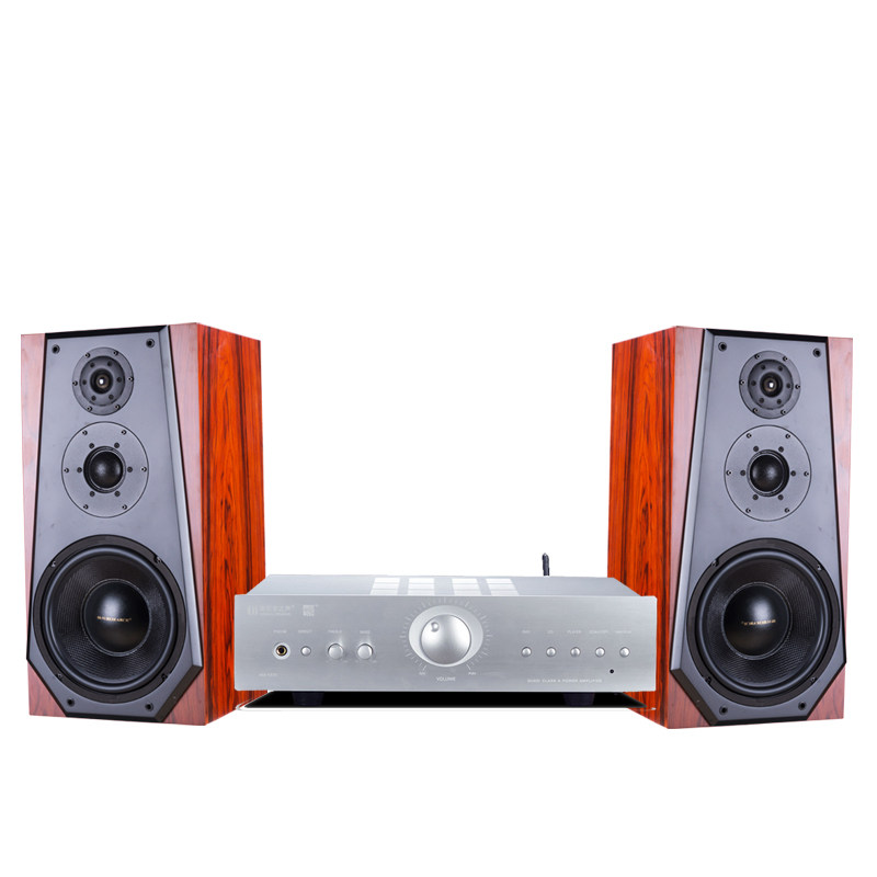 10 inch speaker amplifier