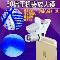 HD 60 times mobile phone microscope magnifying glass with LED lamp jewelry copper coin ancient coin silver dollar identification handheld