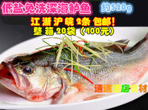 Sea bass 520g open back net bore pickled frozen hotel restaurant ingredients semi-finished grilled fish steamed bass seafood