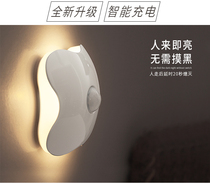 rechargeable led induction small night light human body induction bedroom home light controlled non-speech controlled wardrobe stairway feeding lamp