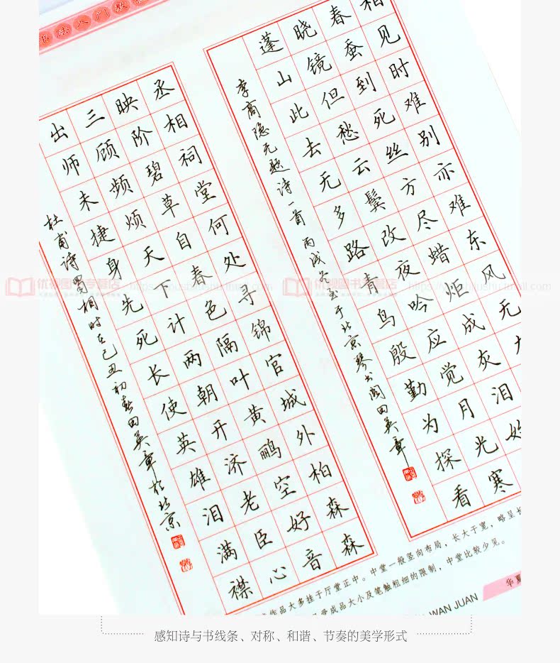 田英章硬笔书法入门教程楷书速成练习/华夏万卷字帖 楷书硬笔书法入门