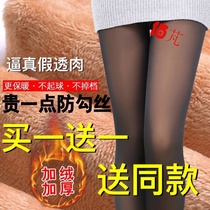 Non-Pilling leggings womens thin models plus velvet autumn and winter pantyhose stockings light leg fake through meat