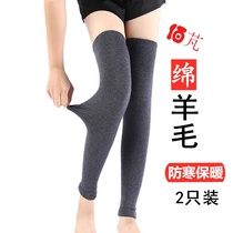 Autumn and winter cashmere leggings womens warm and cold-proof old cold legs extended knee legs thickened calf knee pads