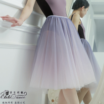 Floating if dance new violet fairy gradient ballet dance performance rehearsal tutu skirt 19FW12