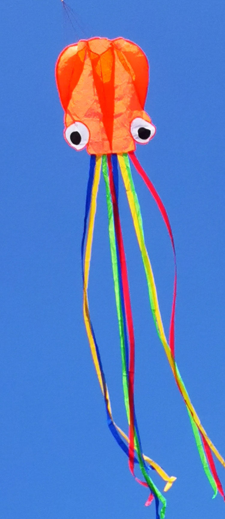 3d立体软体风筝气球无骨充气大型超大高档章鱼特大巨型大人专用