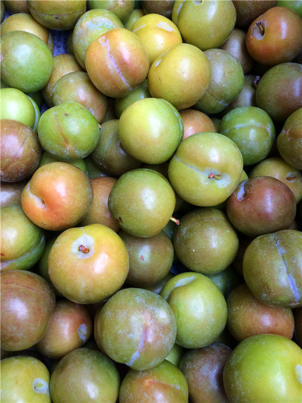 新鲜现摘李果广西百色三华李孕妇水果红心李开胃健胃水果付款发货