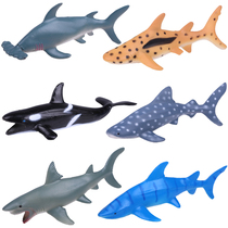Simulation of great white shark fish whale shark killer whale dolphin hammerhead shark model props marine animals childrens gift toys