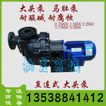 Horse belly pump Plastic chemical pump electroplating pump Corrosion resistant pump Large head pump tank pump Horizontal acid and alkali self-priming pump