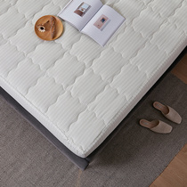 Copper fiber antibacterial bed pad bed cover bed cover latex pad cover cotton Simmons mattress cover non-slip fixed