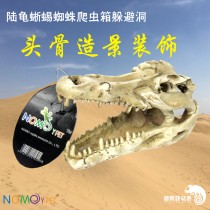 NOMO turtle tank landscaping decoration tortoise lizard Spider rainforest skull reptile box evasion hole