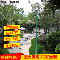 European-style outdoor lighting garden lighting 2 5 meters 3 meters led residential road lamp waterproof lamp head landscape lamp