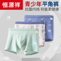 Hengyuanxiang boys antibacterial shorts childrens underwear cotton boxer students