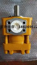 Special spot supply Shanghai Hangfa new products NBZ3-C50F NB3-C50F low pressure gear pump