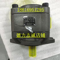 USA SUNNY high pressure pump HG2-80-01R-VPC bending machine CP2-80-P-10R shearing machine gear pump