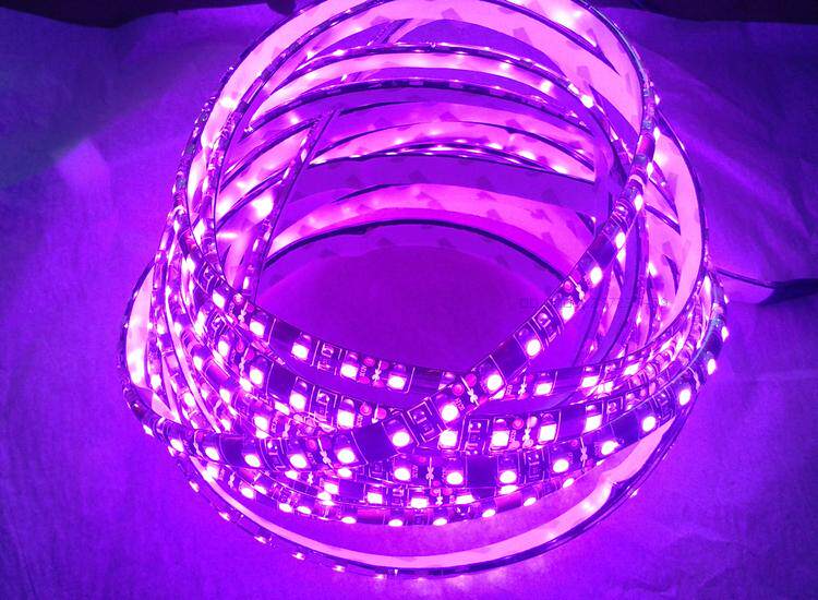 新欣灯带led3528灯条防水黑板软灯条120灯/米滴胶套管12v防水高亮