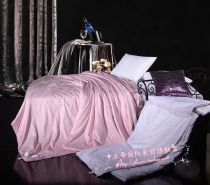 Exported to the Westin Five Star Hotel Natural 100 Double Palace Gongsatin Jacquard Mulberry Silk Quilt 12 Jin