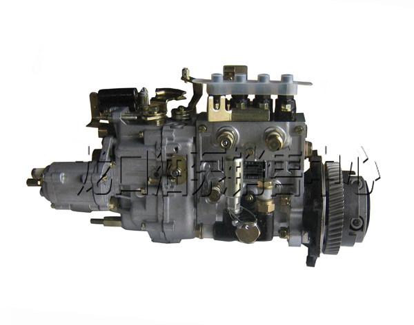 大连龙泵油泵油嘴 173c/bh4pds105r173 配套朝柴cy4102bzlq