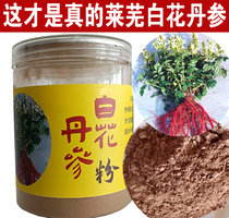 White Flowers Red Sage Root Powder Zhengzong Shandong Laiwu Baihua Red Sage Root slice powder imitation wild red sage Chinese herbal medicine 260g