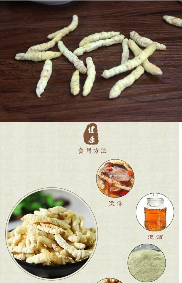 中药材草石蚕泽兰根肺痨草土冬虫草白虫草地参地蚕500g