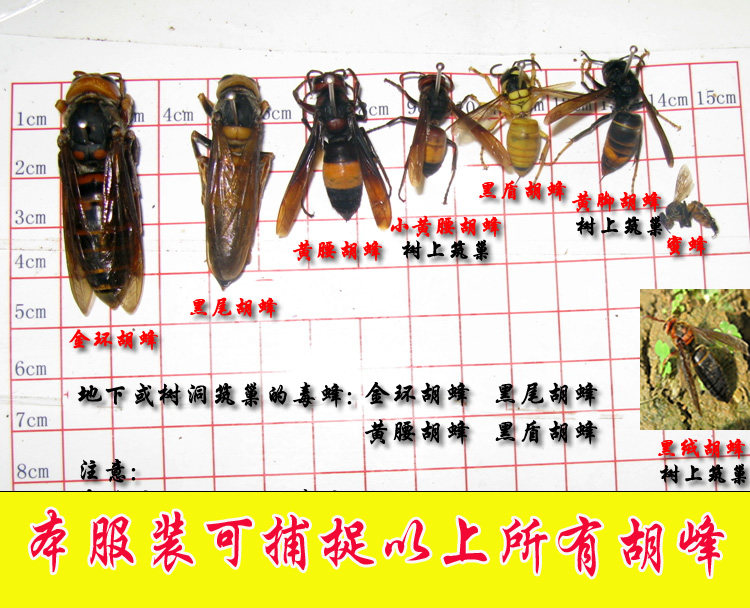 马蜂服 防蜂服防马蜂连体服 捕蜂服散热 防毒蜂服 正品 包邮