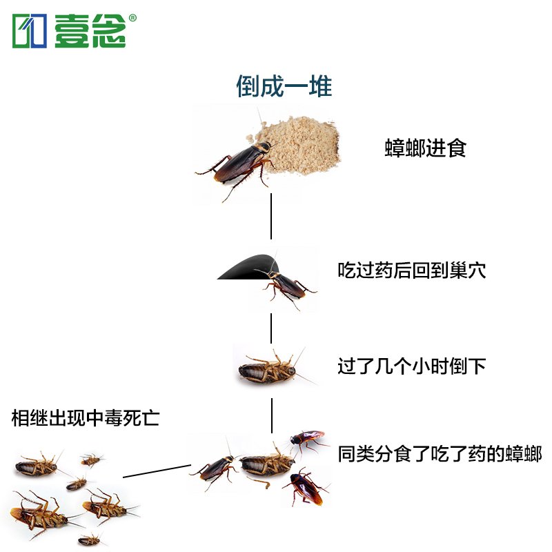 杀蟑饵剂强力灭蟑螂药全窝端屋贴除蟑螂捕捉器家用杀虫剂胶饵产品展示图1