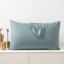  SESSILE SESSILE 60 satin plush cotton pillowcase pure cotton thickened single cotton pillowcase 48x74cm