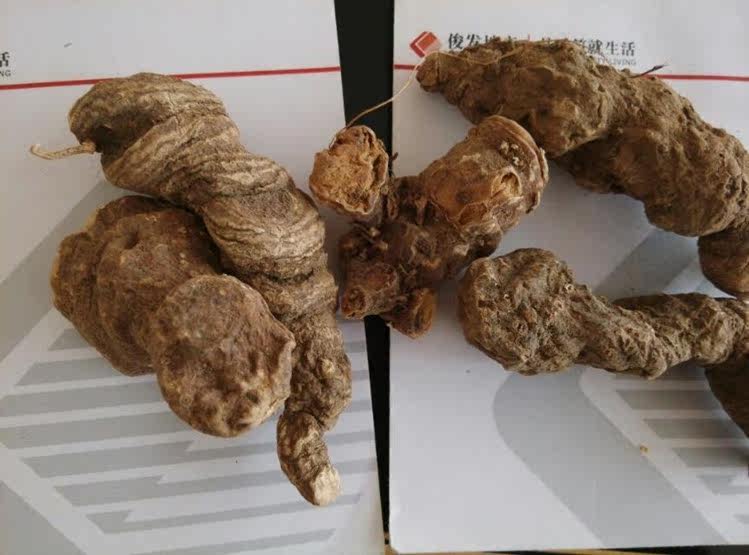 云南野生七叶重楼草河车滇重楼七叶一枝花独脚莲 50克 非四叶重楼