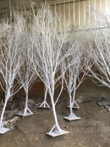 White branches white trunks decorative modeling trees wedding photo studio decorative branches dead branches spray white trees christmas trees